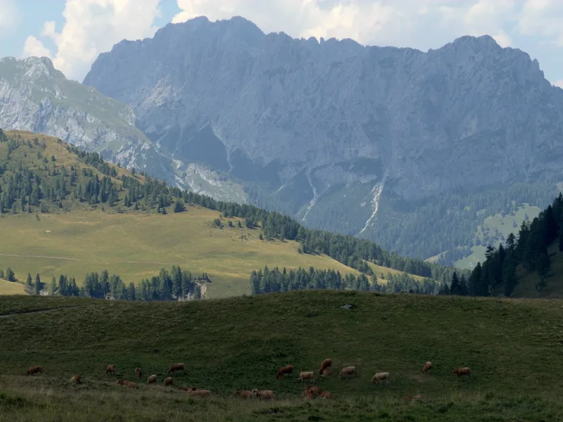 Sella Festons