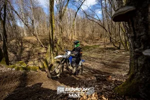 Fox Enduro Day